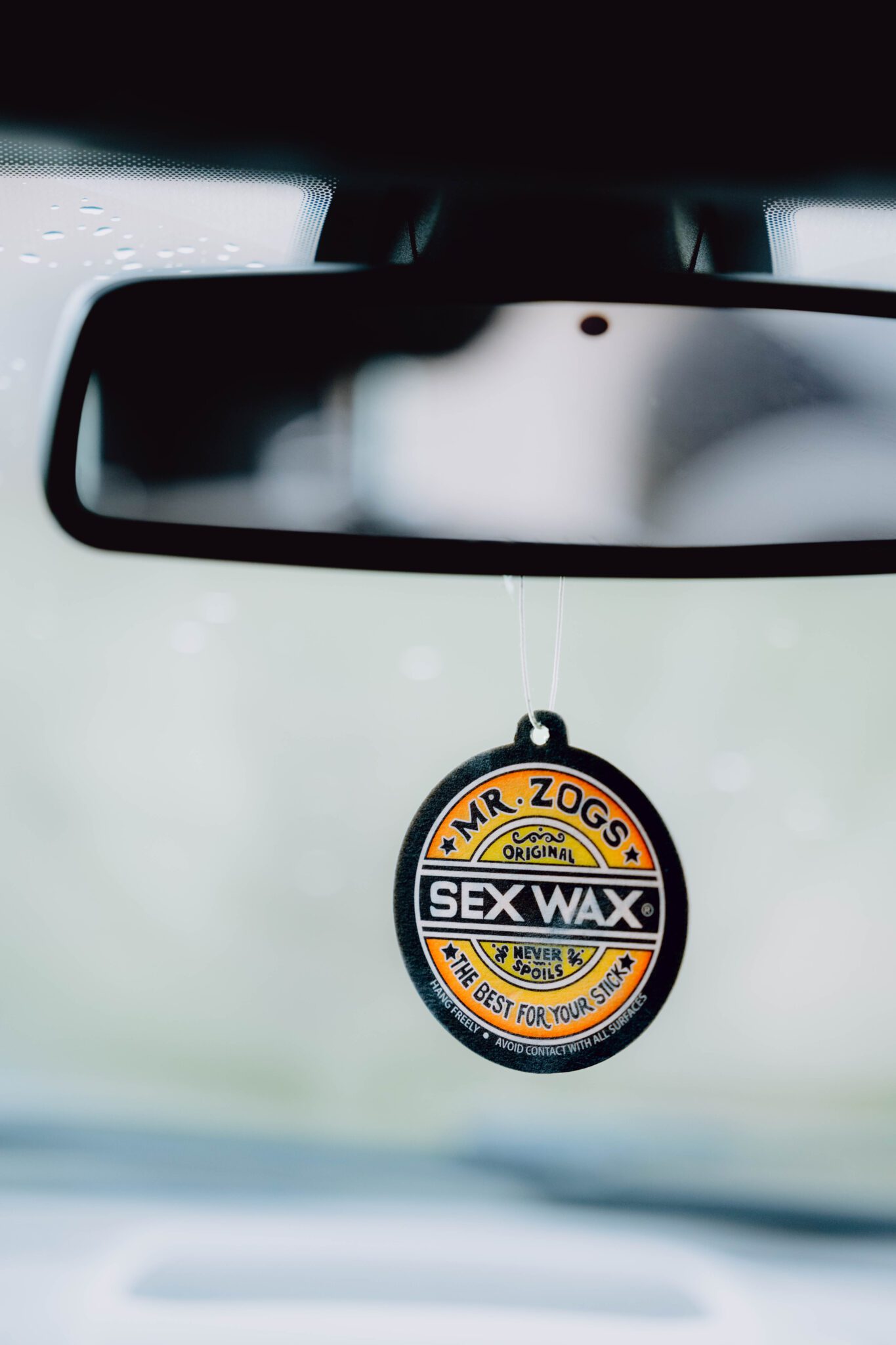 4x Surfs + The Essentials - Image 4