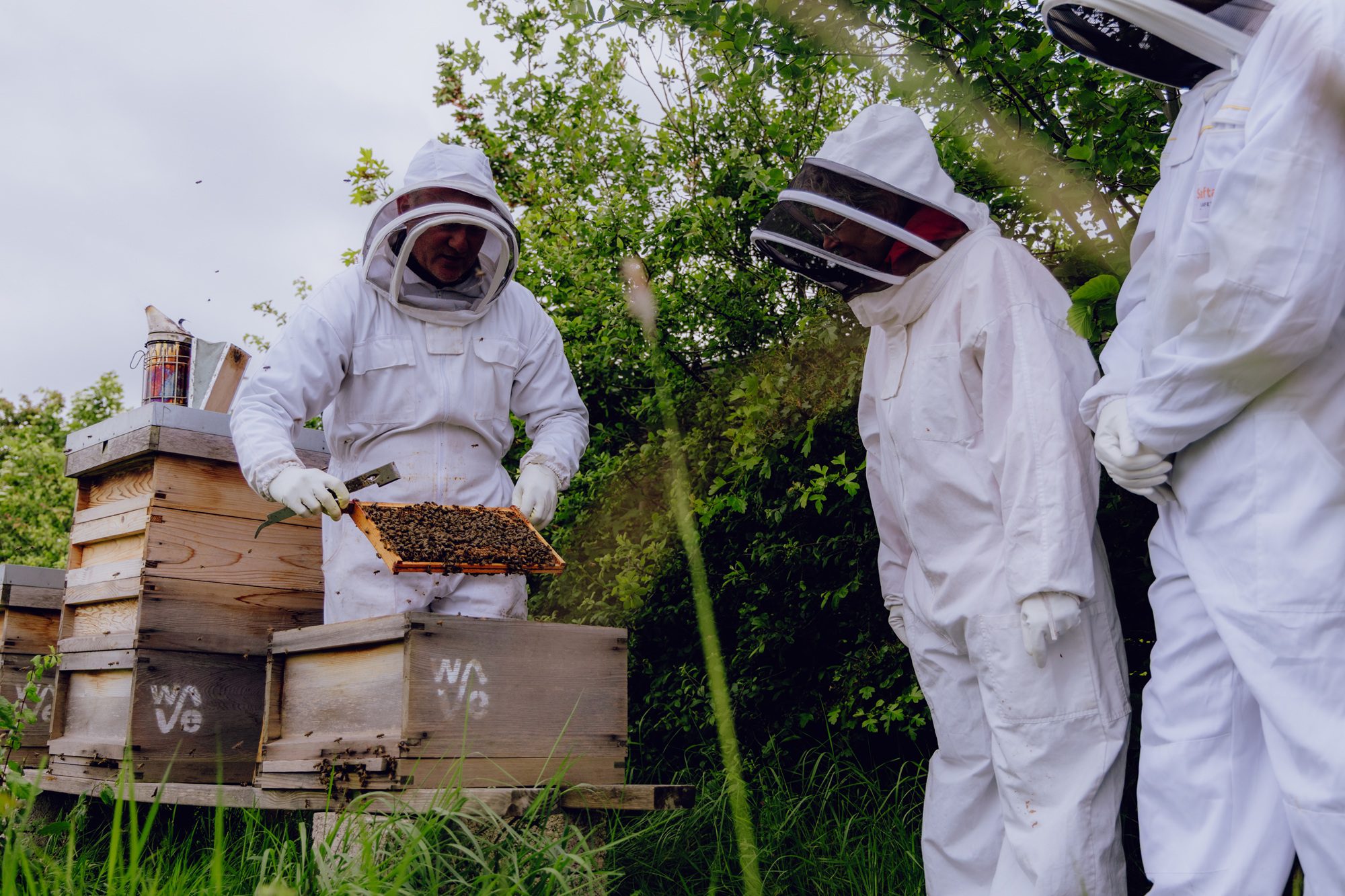 Martin, The Wave's Beekeeper showing staff the bee hives